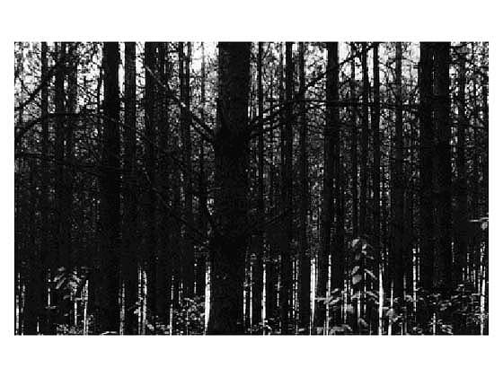 Floating volume Floating volume