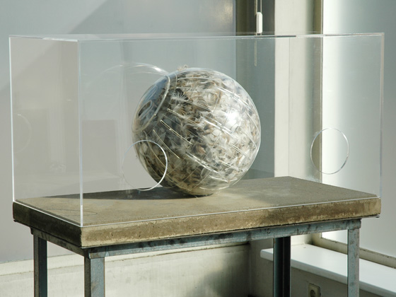 The Origin of Species, detail The Origin of Species, detail