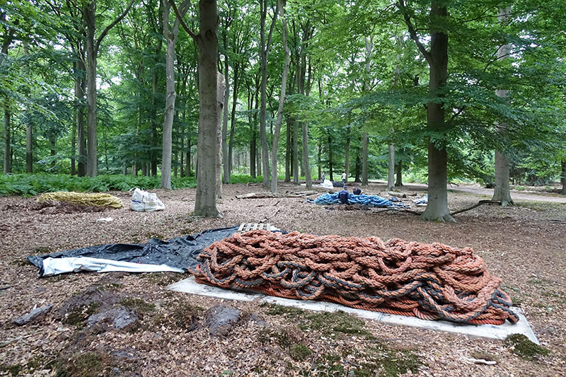 work in Progress work in Progress