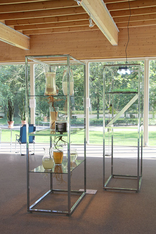 Radix Morgana (small version 60 x 100 x 200 cm), location: Glass House Amstel park, Amsterdam Radix Morgana (small version 60 x 100 x 200 cm), location: Glass House Amstel park, Amsterdam