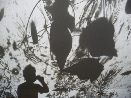 Egied Simons: Liquid Files, Installation 3 Verbeke Foundation 2010 Egied Simons: Liquid Files, Installation 3 Verbeke Foundation 2010