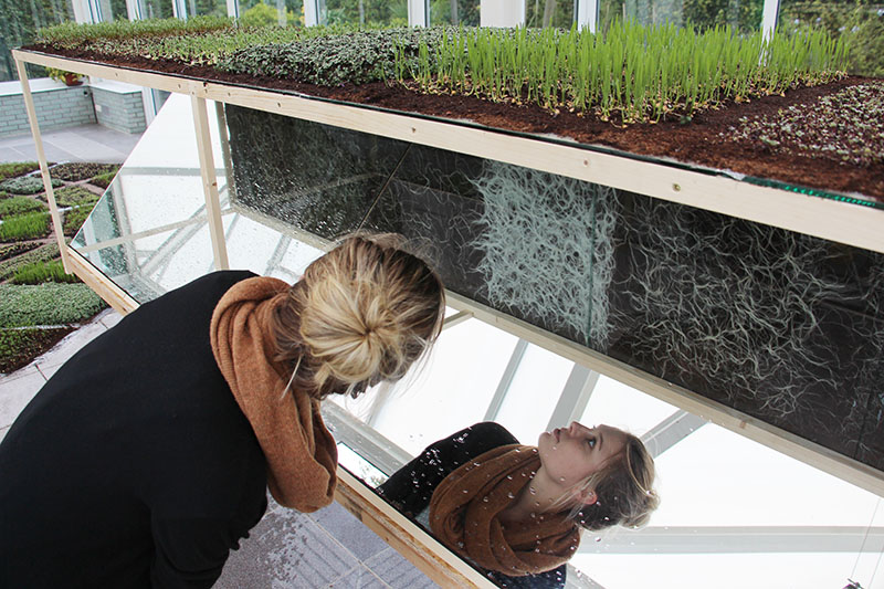 Radix Morgana, location: Orangerie, Amstel park, Amsterdam Radix Morgana, location: Orangerie, Amstel park, Amsterdam